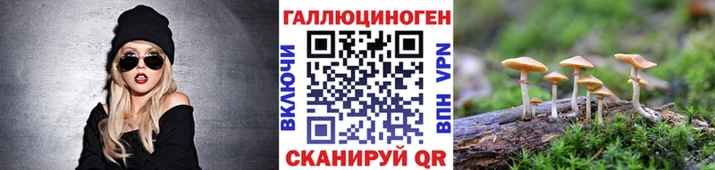Купить где  Горно-Алтайск  Псилоцибиновые грибы мицелий 